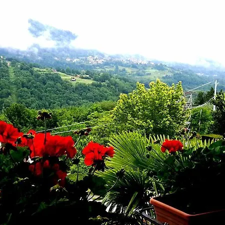 Da Franca *