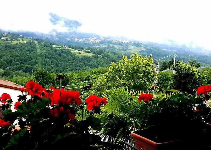 Da Franca *